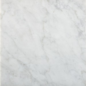 3153-carrara-honed-in-situ 